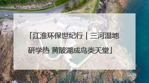 江淮环保世纪行｜三河湿地研学热 黄陂湖成鸟类天堂